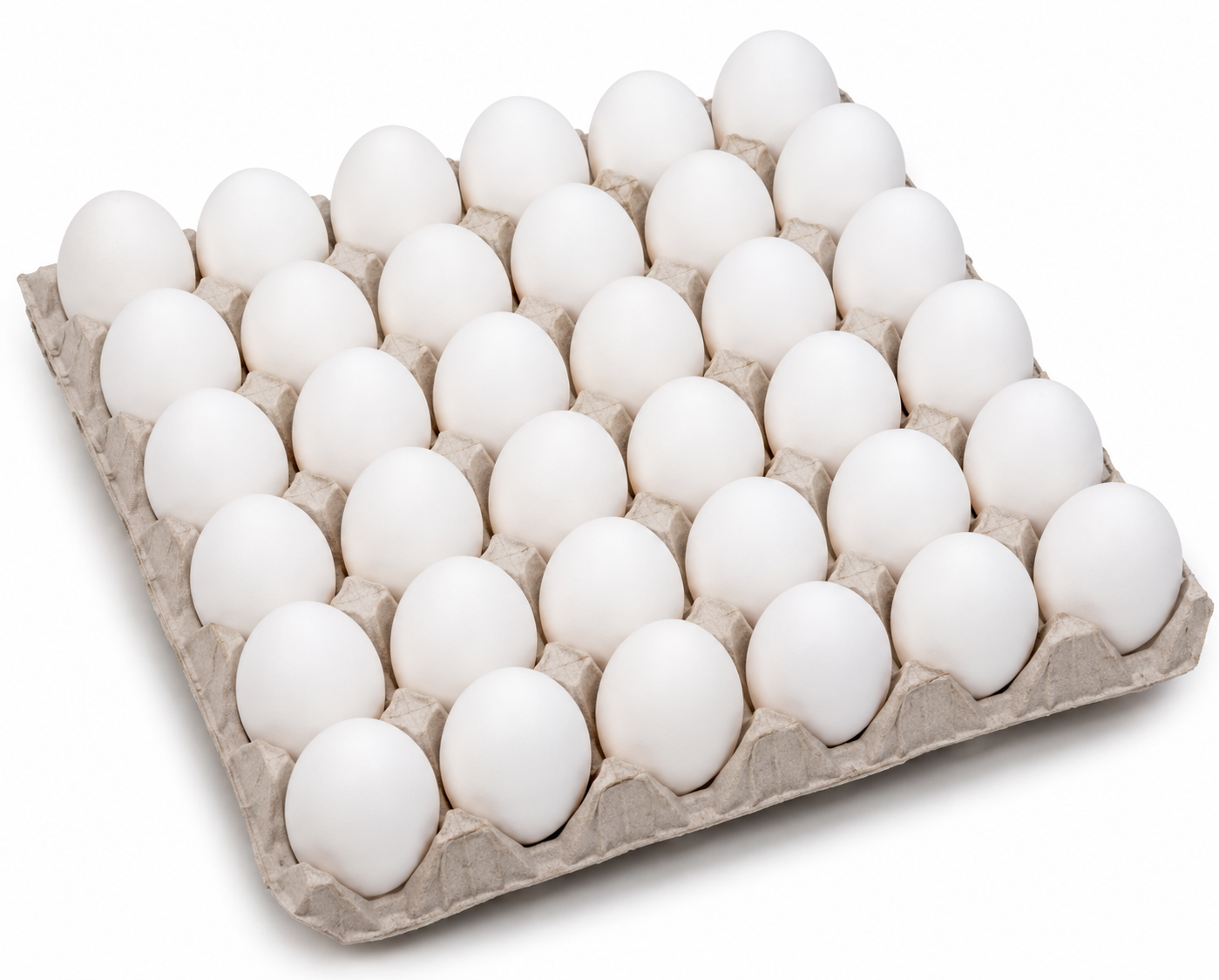 Fresh Eggs